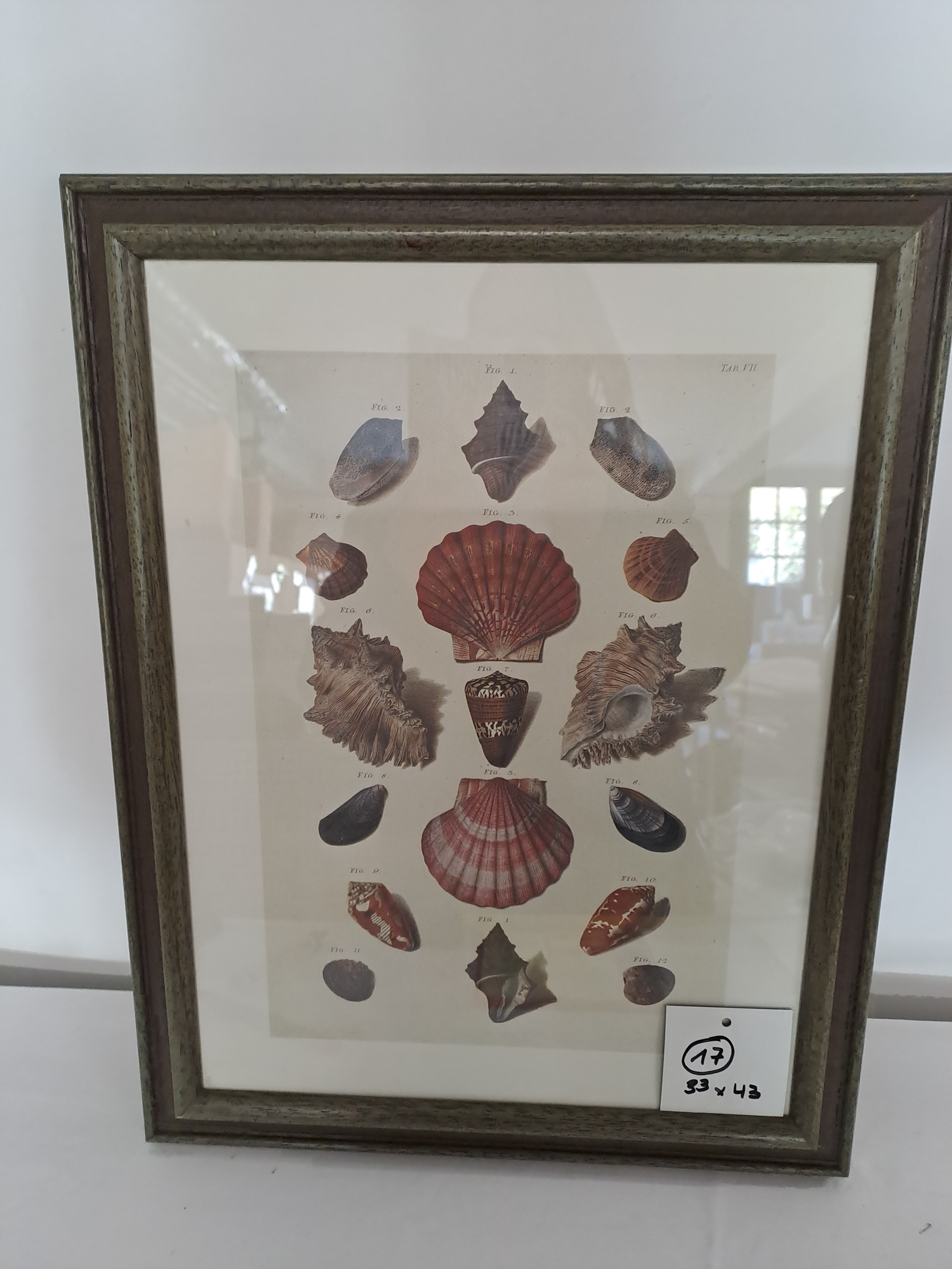 0017. Bild mit Rahmen