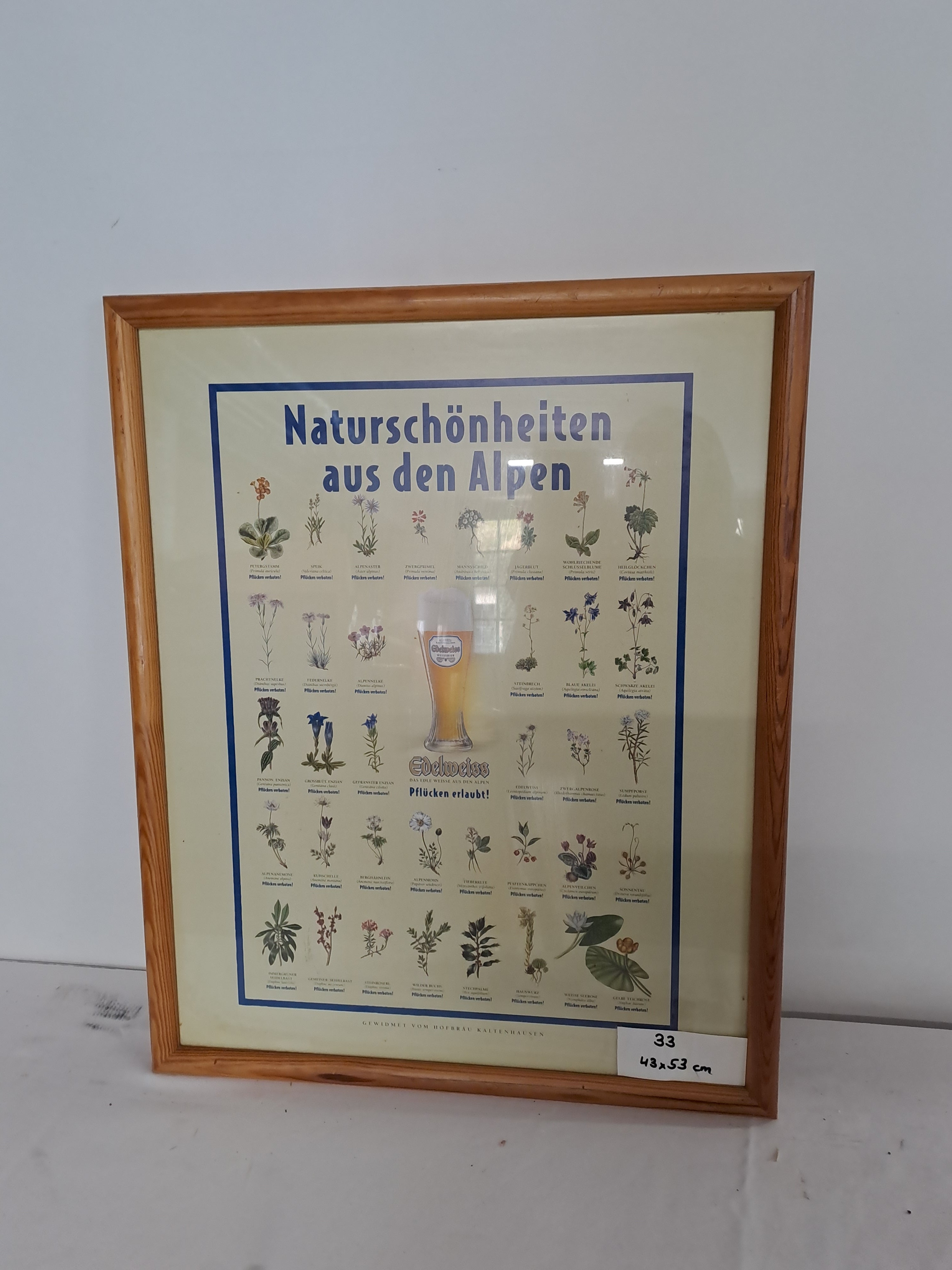 0033. Bild mit Rahmen