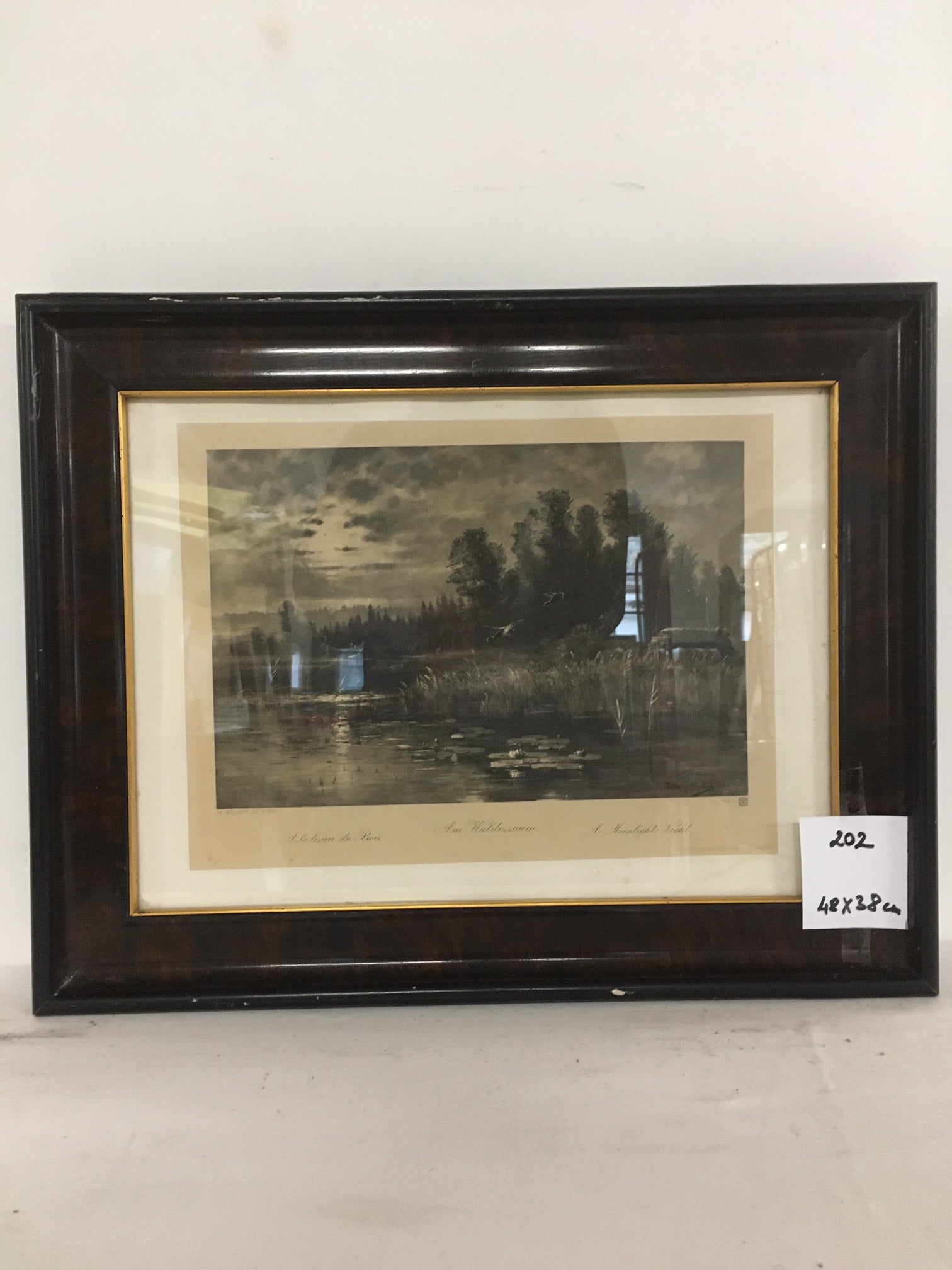 0202. Bild mit Rahmen