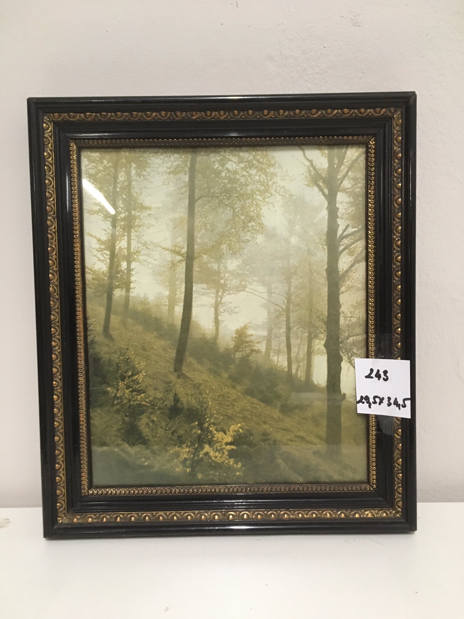 0243. Bild mit Rahmen